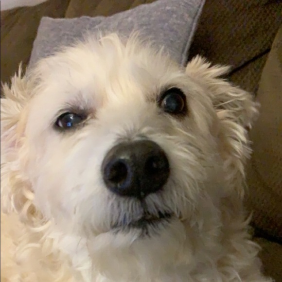 Meet your Posher, Jordan - Picture 1 of 1